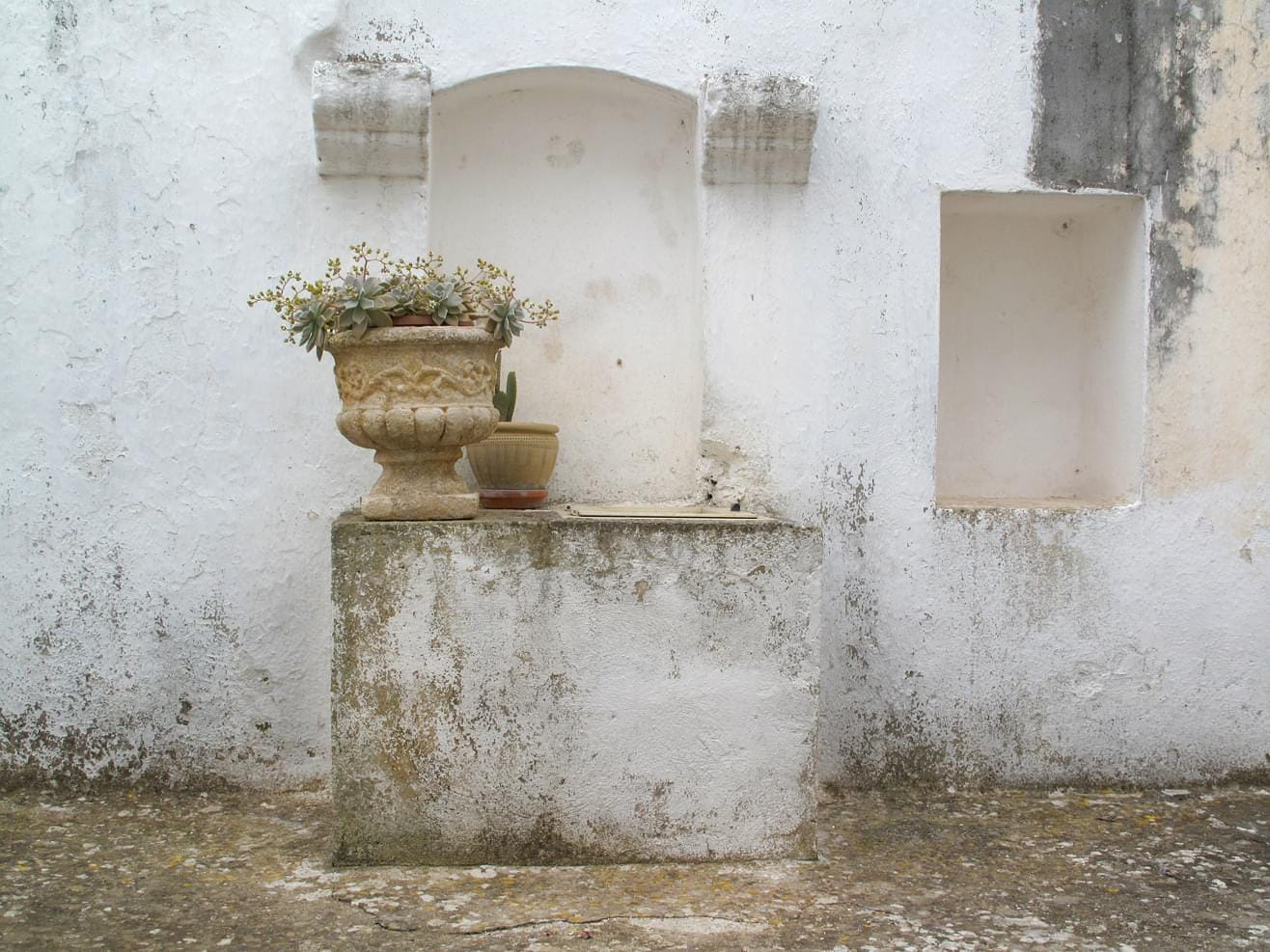 Still life with flower pots before a white wall in a backyard in Italy